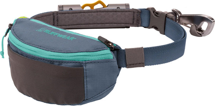 Hitch Hiker Dog Leash