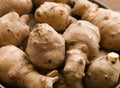 Jerusalem Artichoke Seeds