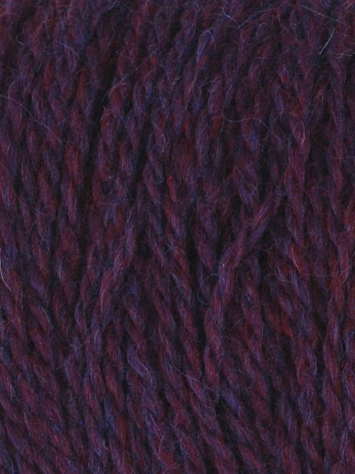 06 Bilberry