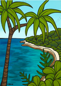 Kaua'i Secret