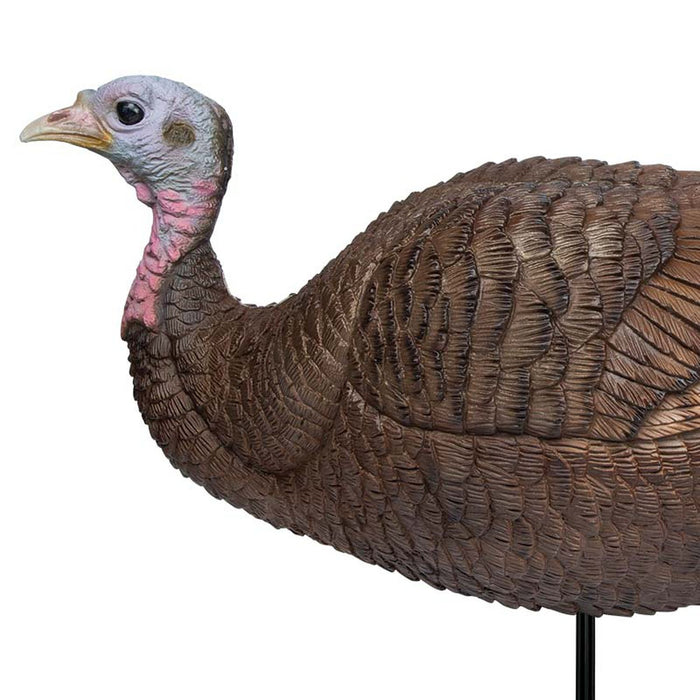 Lil' Gobstopper Hen and Turkey Decoy