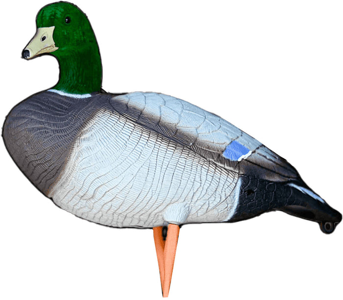 Mallard Duck Decoys - 12/PK