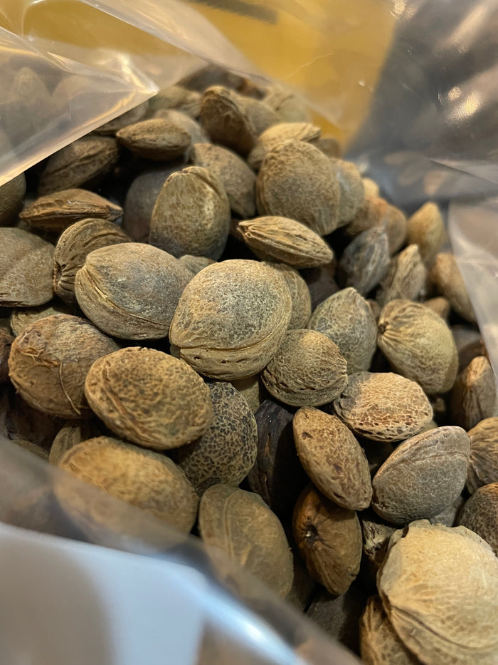 Manchurian Apricot Seeds