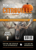 Minéral Sauvage Moose Saline Kit - Pumpkin