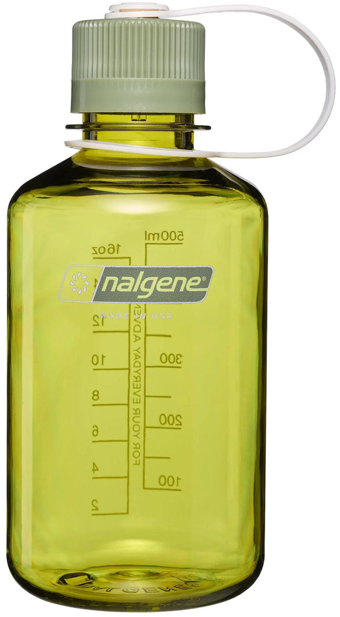 ENDIVE/OIL GREE / 16 oz.