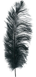 Ostrich Feather - 2/PK
