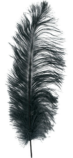 Ostrich Feather - 2/PK
