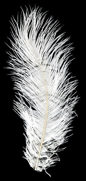 Ostrich Feather - 2/PK