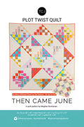 Plot Twist Quilt Pattern -- Then Came June