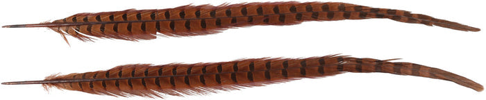 Ring-necked Pheasant Tail Feathers - 2/PK