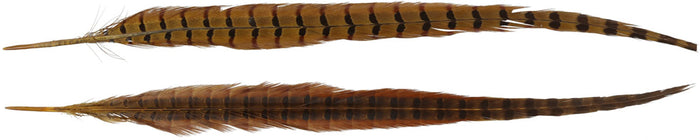 Ring-necked Pheasant Tail Feathers - 2/PK
