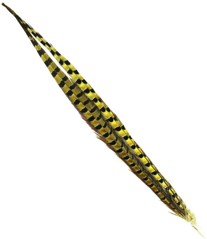 Ring-necked Pheasant Tail Feathers - 2/PK