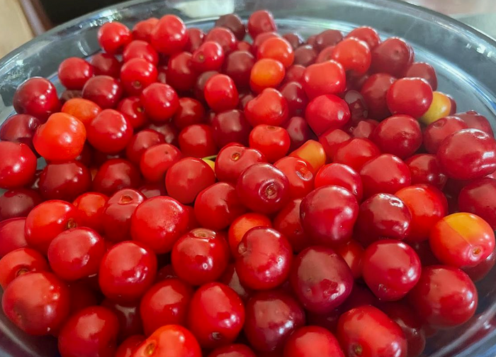 Romance Series Sour Cherry Seeds