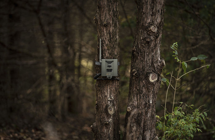 SB-500S Steel Security Box for Flex Hunting Camera