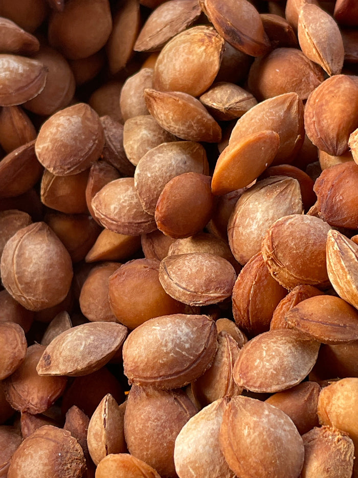 Seedling Plum Seeds