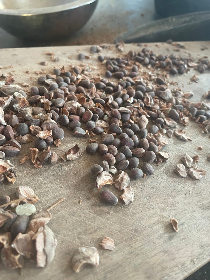 Siberian Stone Pine Seeds