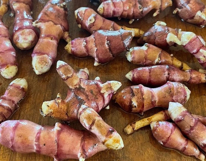 Skorospelka Purple Jerusalem Artichoke Tubers