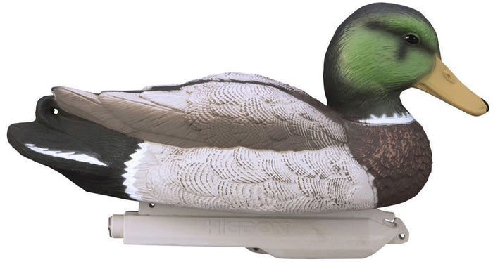 Standard Mallard Decoy