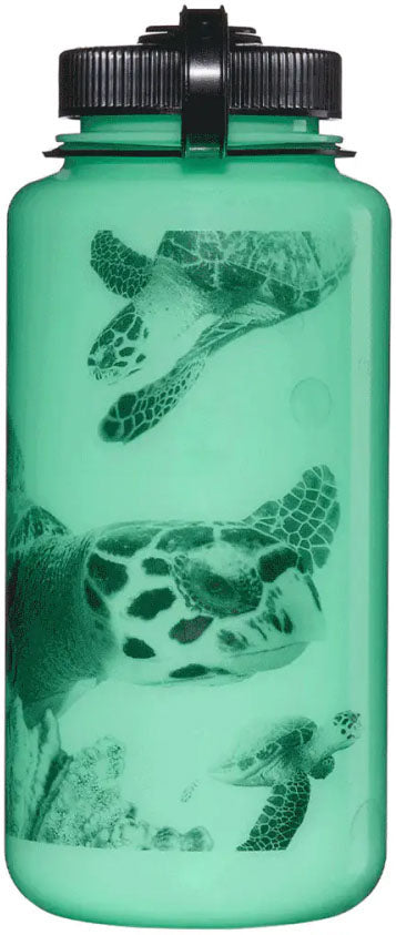 GLOW TURTLE