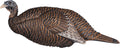 Thunder Chick Breeder Turkey Decoy