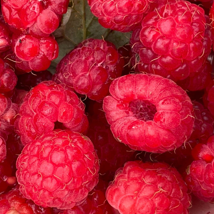 Wild Raspberry