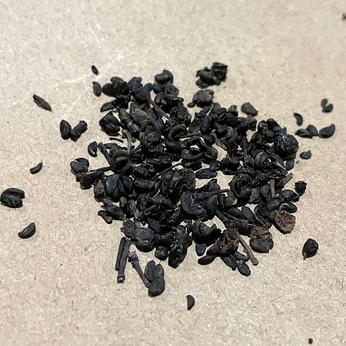 Wild Saskatoon Seeds