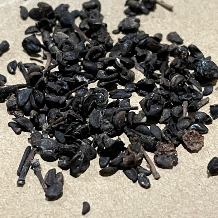 Wild Saskatoon Seeds