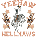 Yee Haw & Hell Naws Graphic Coaster