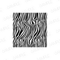 Zebra1
